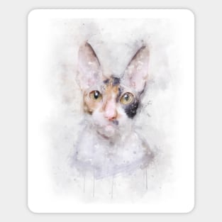 Cornish Rex cat Magnet